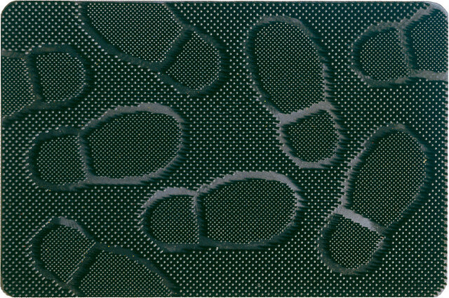 Durų kilimėlis Dancer 40 x 60 cm
