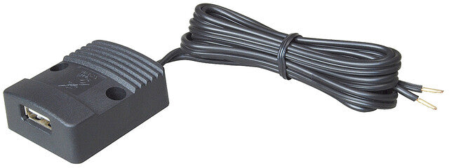 USB lizdas Pro Car flat, 12-24 V