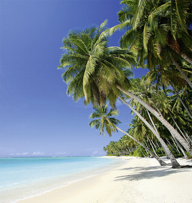 Hammer white beach for pipes 22 mm