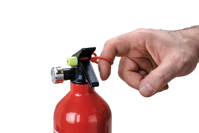 PROTEX powder fire extinguisher 1 kg with pressure gauge