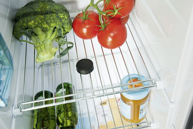 E-Temperature E-Trailer for fridge