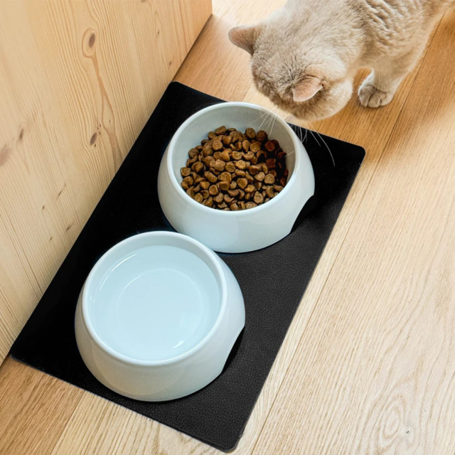 Porcelain feeding bowl set