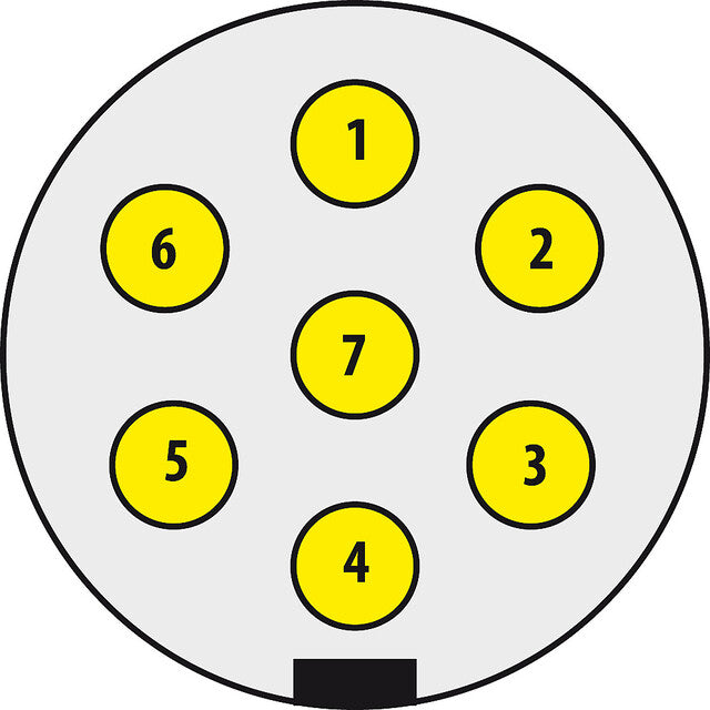 Plug 7-pole