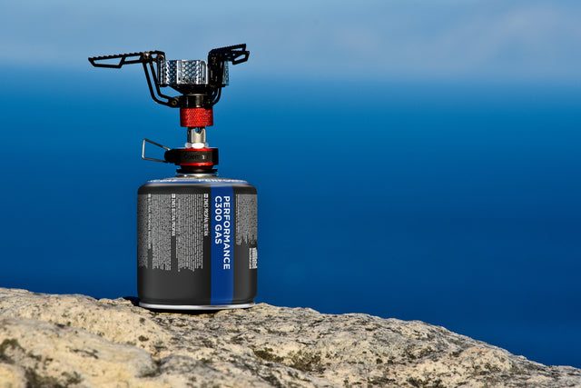 Coleman valve cartridge C300 Performance