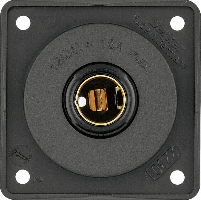 Kištukinis lizdas mažas Berker Color antracitas 12 V DIN