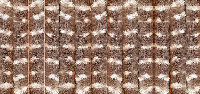 Durų uždanga ARISOL 100 x 205 cm Spalva ruda/balta