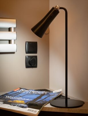 camping lantern Globe Torch Privot Set