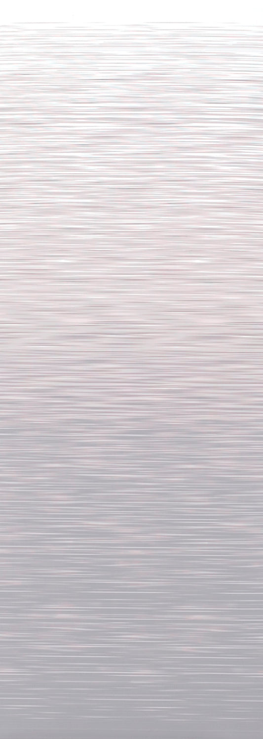 Sieninė markize THULE 3200 190 x 250 cm Šaliko spalva mistiška pilka Korpuso spalva antracitas