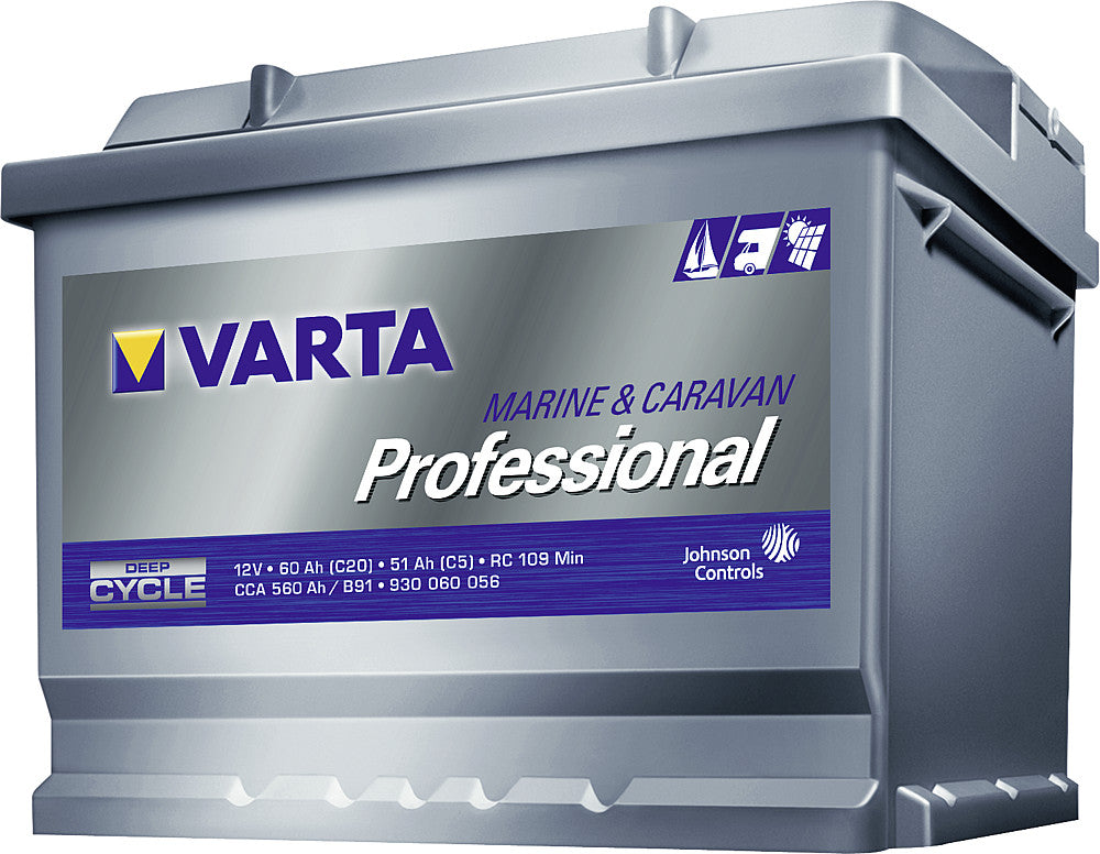 Battery Professional Deep Cycle LFD